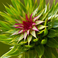 Concerns - 1000 Cash Advance Loan - $1000 Payday Loans: Instant, low-cost and faxless payday loans never bills candidates a charge to get approved for a payday advance loan.